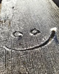 5835_Gallery.webp