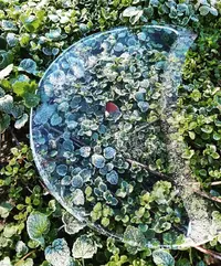 95805_Gallery.webp