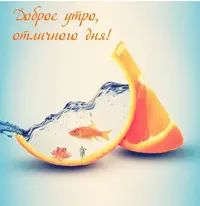 DE8F9FE9-AC64-47D0-8AAD-4C58B89E1CDE.webp