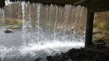 IMG-20221103-WA0008.webp