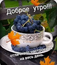 IMG-20221105-WA0003.webp