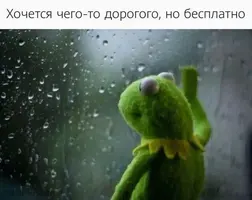 486306AE-3E26-4414-AA21-2EF9B877DC41.webp