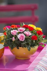 7EC51725-F739-4289-B341-DCAAA5C658CE.webp