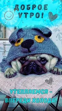 5c9ae85da79b8629a03146372eaf8ca8.webp