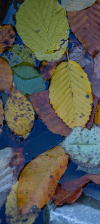 IMG_20221109_173247_copy_600x1334.webp
