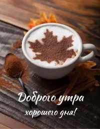 bc8893816d6c95b56282c86bcb0b301e.webp