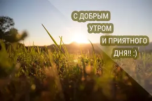 qgcmc.webp
