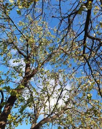 01455_Gallery.webp