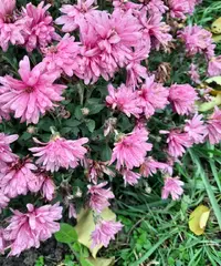 00630_Gallery.webp 00630_Gallery.webp