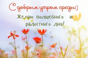 img_5fff3fd6d3e0b.webp