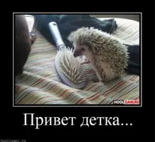 Screenshot_20221117-173904_Chrome.webp