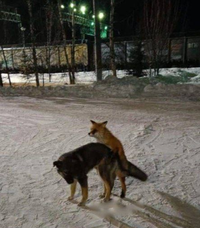 IMG_20221118_195150.webp