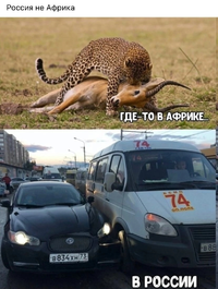 IMG_20221120_023547.webp