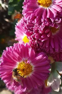 100308_Gallery.webp