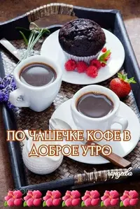 IMG-20221126-WA0009.webp