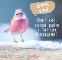 2b34ae6212bad10376432a302e01376e.webp