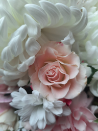35755_Gallery.webp