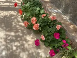 37F2FF69-7A0B-4F3D-AE08-EC369EFAD1D0.webp