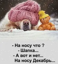 18591.webp