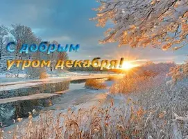 5CFDC3BB-7CC6-4FCE-B65B-F524D00B3975.webp
