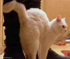 KCt2nYdYiQs.webp