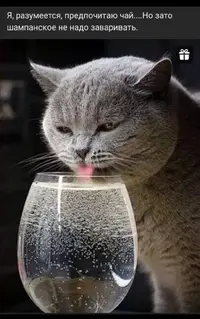 Screenshot_20221202_064211.webp