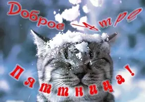 6C001375-C7B9-42CD-BE01-0F16D771A3FF.webp