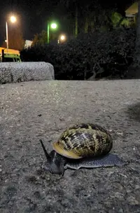 20221130_231206.webp