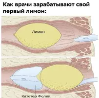 C6A80528-B29D-4B8E-A8AC-9E15A0355344.webp