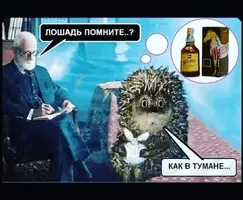 kQ6mVJiRgGUnzlENbaOjwJ2rTQ8-960.webp