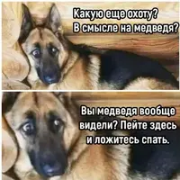 AC3AD2BF-297B-4E97-B52A-7FF93874C724.webp