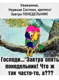 29f3da8a248542381e718305fb24081c.webp