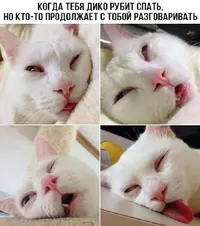 50-interesnyx-kartinok_027.webp