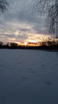 IMG20221206081756.webp