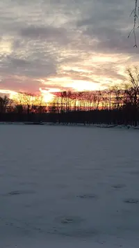 IMG20221206081810.webp