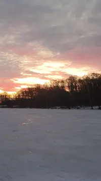 IMG20221206082205.webp