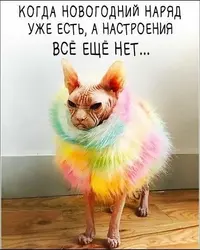 abf6fd9e1a2e162ba8c2db293b498560.webp