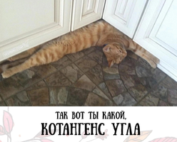 IMG_20221201_123110.webp