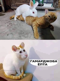 1670643815211.webp