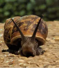 Screenshot_20221210-194236_Gallery.webp