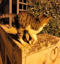 Screenshot_20221211-013609_Gallery.webp