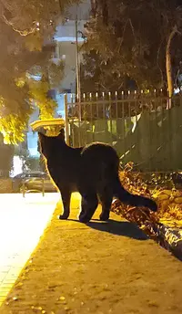 20221210_222756.webp
