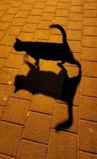20221210_220722.webp