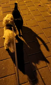 20221210_220706.webp