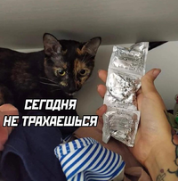 105856.webp