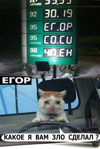 1671004590221.webp