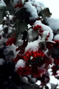 1-8654.webp