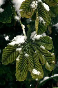 1-8670.webp