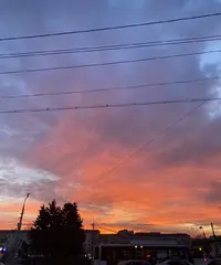 A652E445-D15D-4AB9-B08B-E50F1DAF9B63.webp