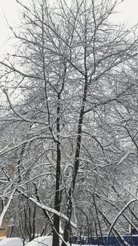 IMG20221214125433.webp